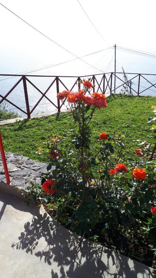 Casa Villa Dinastia Sotao Y Casa Villa Dinastia Miramar Рибейра-Брава Экстерьер фото