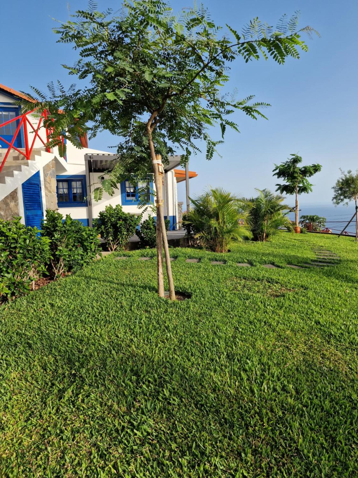 Casa Villa Dinastia Sotao Y Casa Villa Dinastia Miramar Рибейра-Брава Экстерьер фото